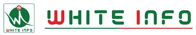 White INFO logo